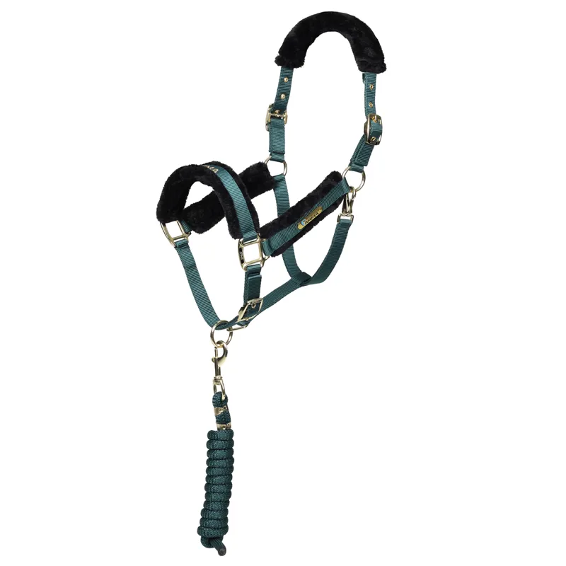 Shires Arma Logo Headcollar and Leadrope - Green